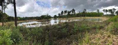 Combineer je event met een wandeling